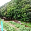 대바우가든 이미지