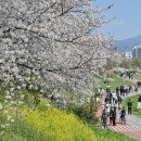 광주 천변길4 이미지