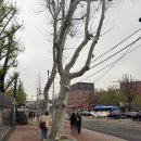 대학로 | 대학로쌀국수 포로이 대학로점 후기