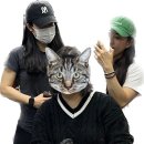 브라더오뎅(부산시청점) | 양산 원동 미나리 삼겹살 7번집 후기 &amp; 신이내린닭발, 브라더오뎅