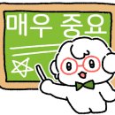 전주 햄스터 이미지