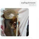 배부른생오리앤흑돼지 | 치앙마이 여행(1) 밤 비행기 타고 도착해서 하는 일 야식 배달(창푸악수끼, 치즈로띠) • 스테이 컬렉션...