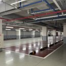 골프로그 스튜디오 이미지