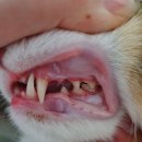 도란도란동물병원 이미지