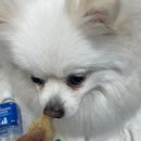 폴리파크 상계점 이미지