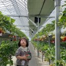 시현농장 이미지