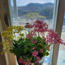 깨끗한피부의 최고보약은 보톡스앰플입니다 이미지