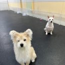 멍스가든 이미지