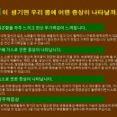 <1월 6일 > 네이버 이벤트 이지센스화이바 이미지