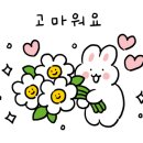호푸모루