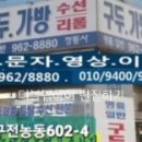 선비수선