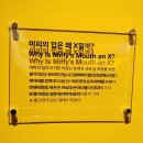 2024.09 (2)~2025.01 하루종일 누워있어서 내용이 없는 블로그