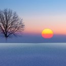 강원도 평창카페 가볼만한곳 추천 TOP10