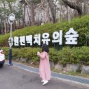 북앤카페 네이버블로그