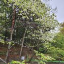 다금한식 이미지