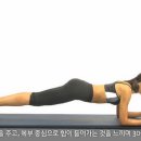 플랑크(plank)
