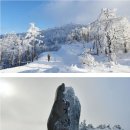 2026년 1월 신년산행 신청 (평창 태기산 눈꽃산행 1,261m)-평소보다 30분늦게출발 이미지