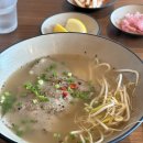 스테이인숲 | 제주도 표선 숙소 추천 | 포르투나스테이인표선 | 내돈내산후기