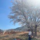 일석목장 이미지