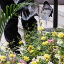 개막 앞둔 서울국제정원박람회 이미지