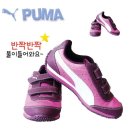 푸마뉴코아