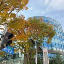 분당-38 | 38주차 :: 분당제일여성병원 제왕절개 후기 (출산후기)