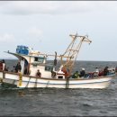 자바낚시 이미지