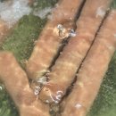 엄마정성김밥