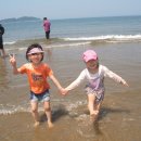 서해송 이미지