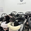 펫의류&펫소품 만들기 | 부천 펫랜드 피카고 중형견유모차 시승후기 | 애견유모차 용품구매 최저가