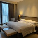 에스엠호텔 | 세부 5성급 리조트 추천 쉐라톤 리조트 수영장 내돈내산 후기