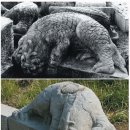 천록(아) 티스토리