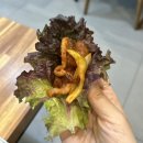 아낌없이주는민박 | [경북도청 / 예천맛집] 오리고기 맛집 솔직후기 오리주물럭 + 참나물조합 최고! ‘ 참맛오리’