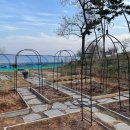 장기농장 이미지