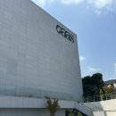 오아스(oaas) 이미지