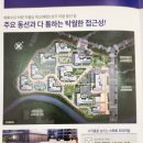 103동 앞 횡단보도 이미지