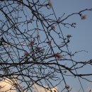 만지 농장 이미지