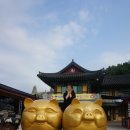 한영카센타 이미지