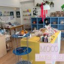 모코(MOCO) 이미지