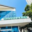 만천할인마트 | 속초 1박2일 뚜벅이의 P식 여행이라 우겨보는 엉망진창 혼자여행 후기(25년 숙박페스파 가을편 할인)