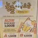 놀숲가평현리점