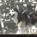 동물농장 - 양산시 양산역로 85 | 동물농장