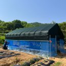 KS농장 | [충남 금산] 비닐하우스 가격 비교해서 구매하기