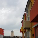 김중배 농장 | 조천스위스마을-동물농장에 소개되었던 강아지들(미니,피자)을 찾아서