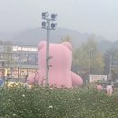 냉큼오이삼 이미지