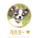 유니라벨