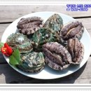 완도전복 이미지