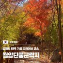 강원도 태백 가을여행 드라이브코스 철암단풍군락지 구문소