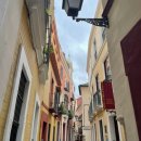 누에보민박 이미지