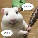 시골집보리밥 - 옥천군 | [울산 울주군 맛집] 아빠한테 운전연수 받으면서 발견한 찐 시골집 감성 한식 ‘보리밥’ 후기 (추천✨)